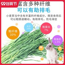 Rabbit wheat grass hay Hay fodder forage Netherlands pig grain Chinchilla guinea pig small pet young rabbit pasture grain 1000g