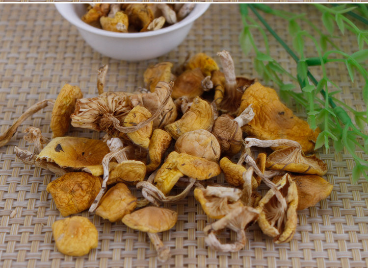 吉林纯野生小黄蘑长白山深山精选黄蘑菇东北特产干货农家无根250g