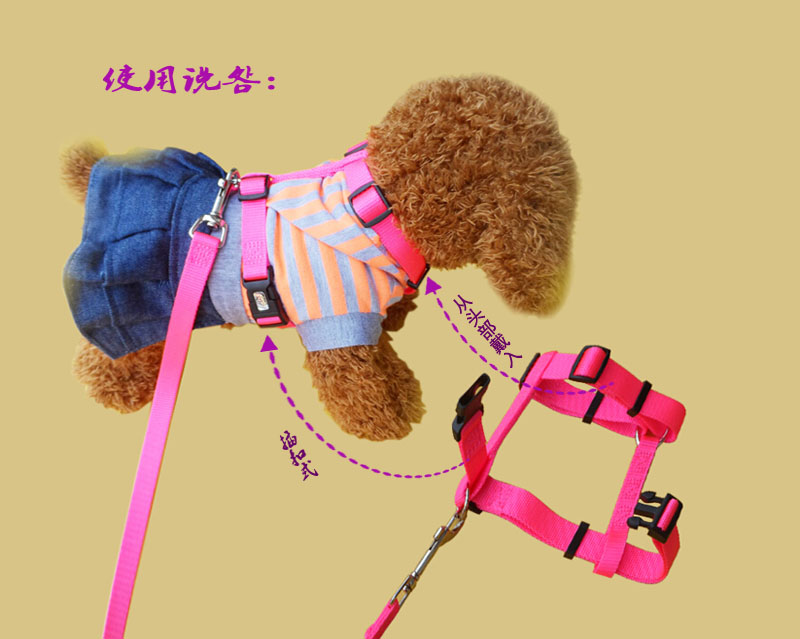 狗狗胸背带狗绳子小型犬狗链子中型犬项圈泰迪宠物狗狗用品牵引绳