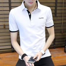 2022 summer new Korean style men's polo shirt men's summer short sleeve t-shirt trendy shirt collar fashion t-shirt