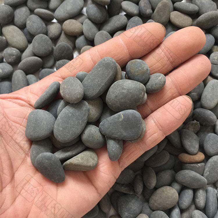 铁胆沙 黑工砂乌龟石鱼缸造景装饰底南美沙黑棕沙鳖虾沙包邮