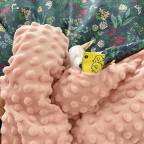 Double double face with imported appeasing soy bean suede soy winter quilted with thickened side cotton side suede quilt spring autumn quilt core