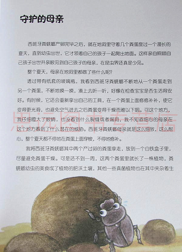 【满额减】zui美的昆虫馆:昆虫记 zui勤恳的挖掘工——粪蜣螂