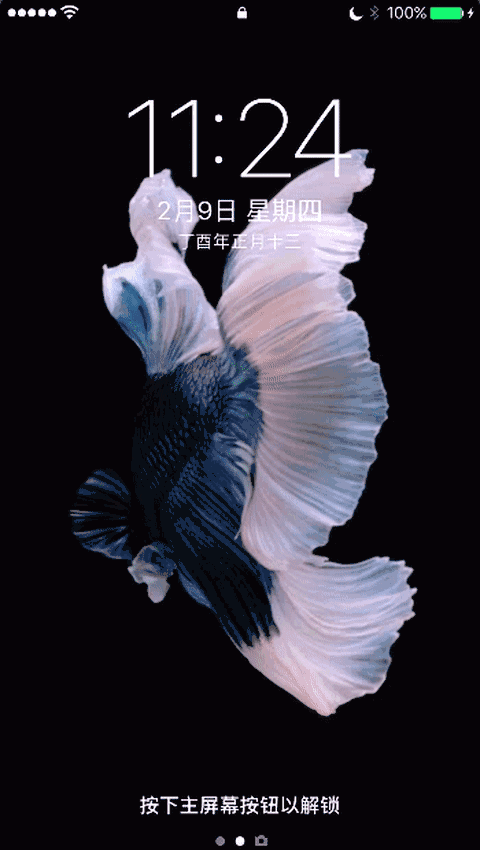 live photo 模式相片以及视频在重压下可以预览,任意照片重压上划