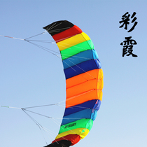 Software umbrella kite double-line stunt two-line sports athletic kite albatross beginner