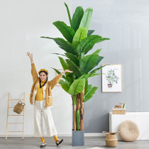Nordic large simulation plant plantain green leaf living room floor tree decoration courtyard large leaf plastic potted