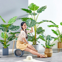 Nordic simulation plant Net red living room decoration potted fake flower interior decoration floor simulation turtle back leaf bonsai