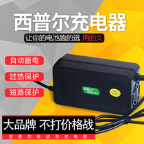 Electric car battery charger 48V60V20ah72V Sipur electric three-wheeled Emma Yadi New day universal