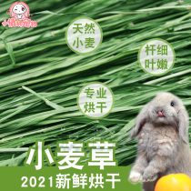 2021 New drying wheat grass hay hay rabbit pasture grass dragon cat Dutch pig snacks pasta hay dry grass fur reds 1kg
