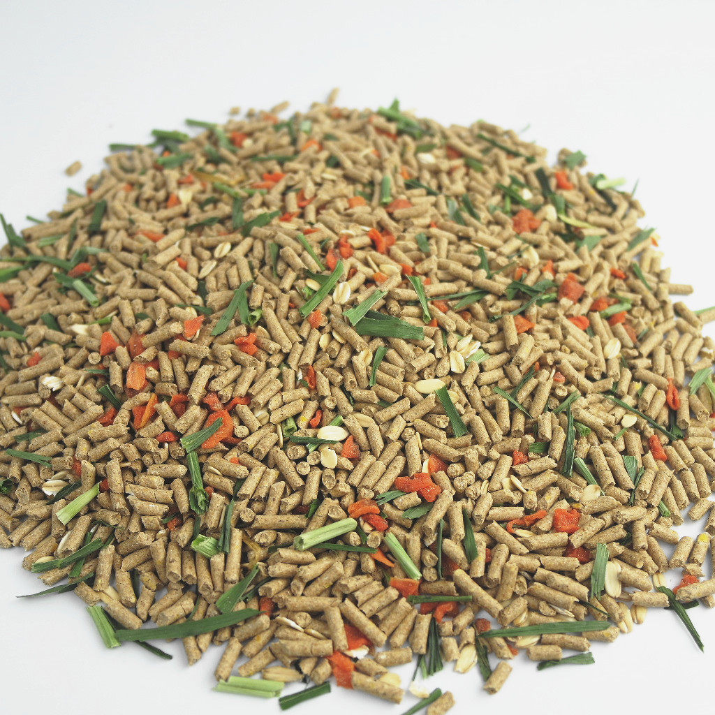 升级兔粮成兔幼兔粮宠物兔粮添胡萝卜干除臭抗球虫兔饲料500g_生活服