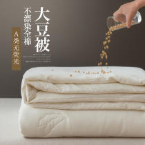 Class A raw cotton soybean fiber spring and autumn quilt students pure cotton winter quilt cotton double quilt core thickened warm quilt