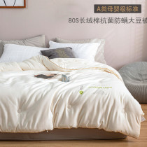 Class A cotton 80S soybean antibacterial quilt thickened and warm winter quilt pure cotton spring and autumn quilt core summer quilt for all seasons