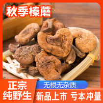 Wild hazelnut mushroom dried chicken stewed mushroom northeast specialty product rootless dried hazelnut mushroom Ding northeast wild mushroom New