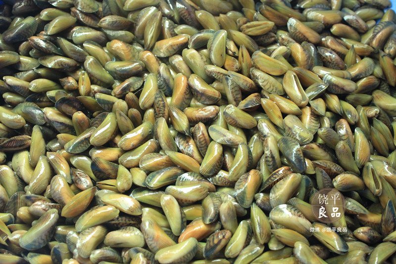 潮汕特产鲜活薄壳米海鲜海瓜子鲜甜海贝类/送金不换 省内5斤包邮_双氙