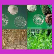 Polymer water-absorbent resin sap water-retaining agent Granular powder Flowers Extend fresh-keeping water-absorbing powder Soil drought resistance