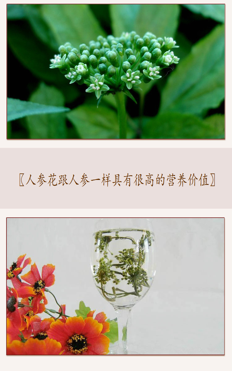 回客多人参花茶花蕾茶人参片人参粉红参花白参花西洋参花_4折现价10.