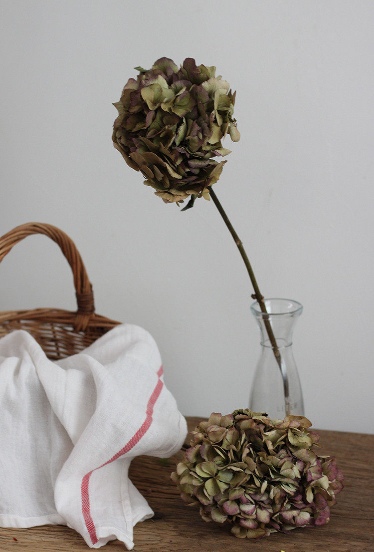 家居艺术搭配 天然植物真花 自然风干花 秋绣球花 紫阳花
