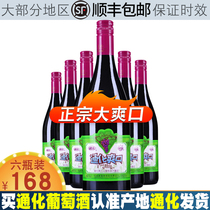 Authentic Tonghua Tianchi brand big refreshing mountain grapes plus steam dew sparkling liqueur twist lid six bottles