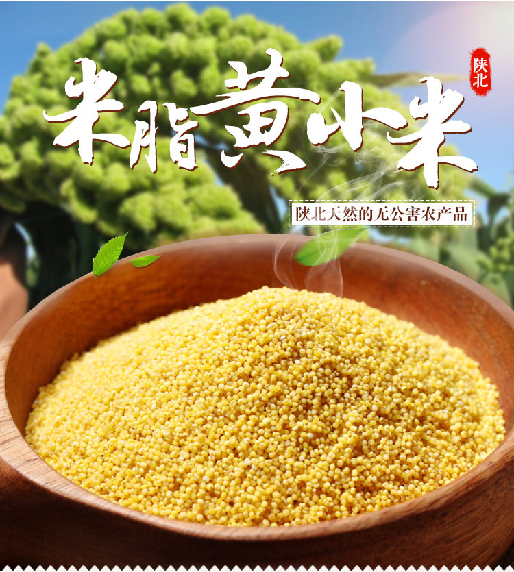 陕北米脂黄小米 农家月子米 五谷杂粮 500g