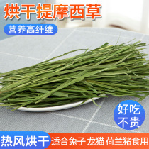 Drying Timothy grass rabbit grain feed forage fresh Ciche Holi ChinChin rabbit eating hay