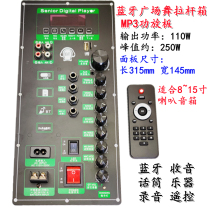 Square dance audio high power power amplifier board outdoor lever speaker 8-15 inch Bluetooth decoder board 315x145