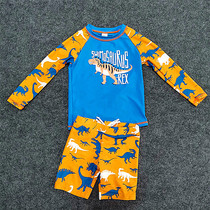 Childrens swimsuit split boy long sleeve sunscreen anti-ultraviolet surf baby cute dinosaur quick-drying boy swimsuit