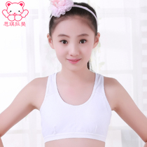 Girls underwear schoolgirls puberty bra 9-12 years old girls develop small vests 10 middle school students 15 teenagers