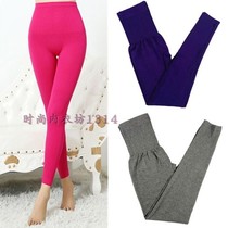 Womens long trousers modal single piece thin candy color leggings spring and autumn cotton wool pants tight Tide pants