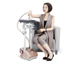 CH hanging ironing machine Household ironing steam iron Small double rod ironing machine Hanging hand flat ironing hanging ironing machine