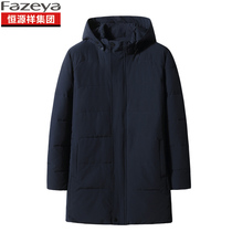 Hengyuan Xiang color sheep middle-aged and elderly cotton coat male fat increased down cotton suit Thick quilted jacket with hat father father
