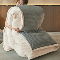 Double-sided velvet quilt winter milk lamb cashmere quilt cover winter thickened warm quilt core 10kg autumn and winter cotton quilt
