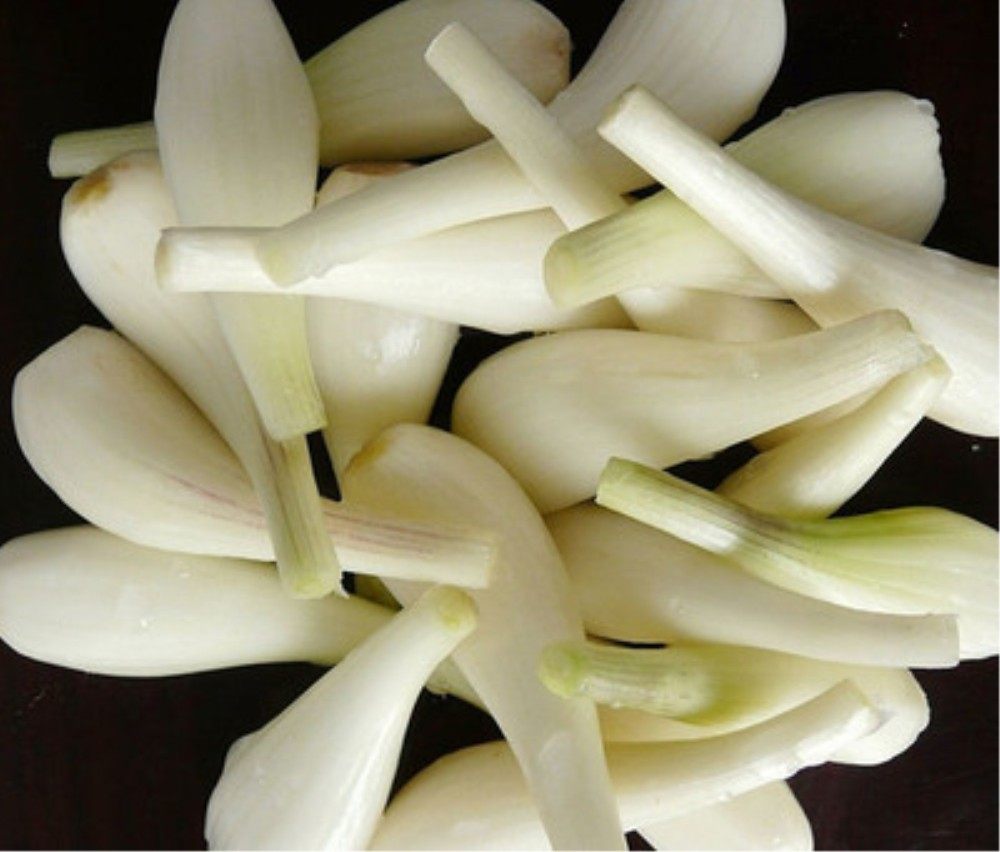 碎藠头500克云南特产农家自制酸辣碎茭头腌泡菜叫头水晶酱菜咸菜