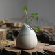 Jingdezhen Ceramic jewelry ornaments creative home gardening flowers into a vase trumpet treasurer recommended Genius Jingdezhen Ceramic jewelry ornaments creative home gardening flowers into a vase trumpet treasurer recommended Genius