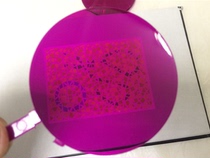 Color blind color weak eye lens die can be bought and processed