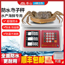 Xiangshan Waterproof Electronic Scale 30kg Aquatic Seafood Scale All Stainless Steel Electronic Floor Scale Accurate 300kg Commercial