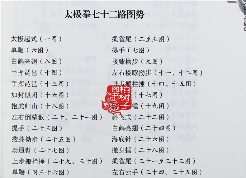 i正版张三丰太极修炼秘诀董沛文炼丹秘诀武道汇宗太极