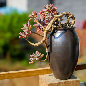 女士纯棉吊带背心宽松工字打底衫小短款潮内搭