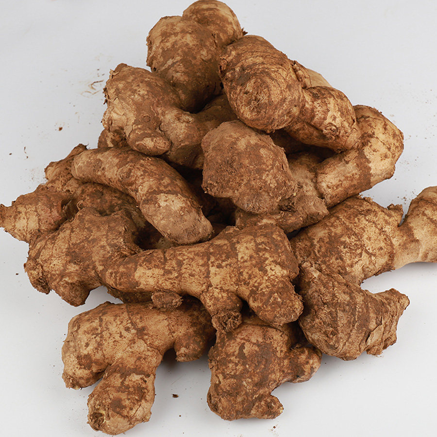 莱芜生姜山东特产新鲜带泥月子姜大黄姜5斤包邮农家当季现挖老姜