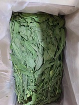 Drying chicory rabbit chincho alpaca fattening hair gills nutrition pasture diuresis anti-inflammatory urine not smelly gross weight 1kg