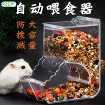 Hamster feeder food basin can be fixed squirrel hedgehog guinea pig Golden Bear anti-flip box hamster automatic feeder