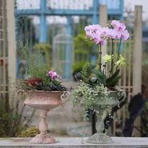 Outdoor Garden Flower Shop Iron Art Grocery Decoration Doing Old Retro Style Trophy Flower Pots Simulation Vases Combined Floral
