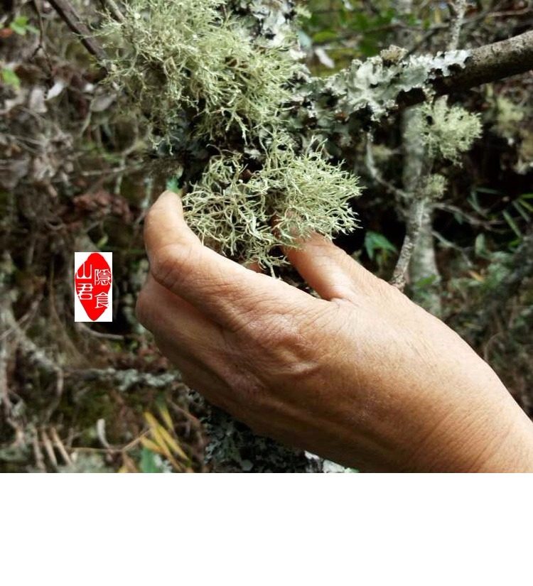 云南树花菜 野菜 云南特产 干货 树皮菜 树胡须 龙须菜 500g