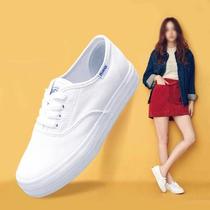 Guangzhou high-end 2019 spring small white womens shoes new Korean version of canvas shoes thick soled Joker students flat casual board