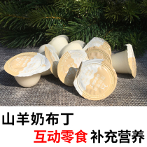 Sheeps Milk Pudding Jelly Squirrel Flying Squirrel Dragon Cat Hamster Honey Bag ZERO FOOD FOOD FOOD NUTRITION SUPPLEMENT