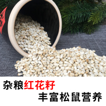 Red Flowers Seed Squirrel Queen Golden Flowers yellow Mountain cub The main grain of the main food is eaten by the main grain