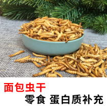 Squirrel Bread Worm Dry Hamster Grain Supplies Golden Silk Bear Grain food Creator grain small snacks feed yellow Pink turtle food