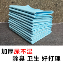 Deodorant cushion Pet Urine not wet Squirrel Gentian cat Dutch pig Pets assorted Pee Cushion Honey bag Diaper Urine not wet