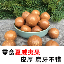 Supplies food for Veolia fruit squirrels food grain snacks raw material nut summer grinding tooth not opening main food main grain