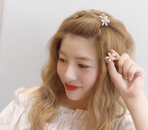 Net red small hair clip female Korean version Korea elegant temperament small grab card holder small and delicate Liu Haiclip front forehead clip