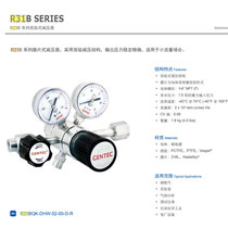 American Jie Rui R31 bipolar pressure reducing valve oxygen nitrogen argon helium hydrogen methane pressure reducer GENTEC